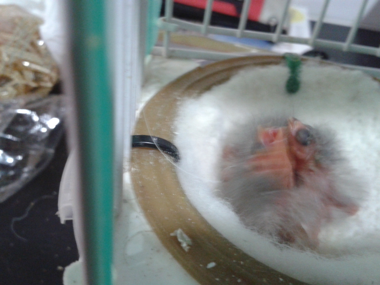 2013-06-28 12.53.43.jpg