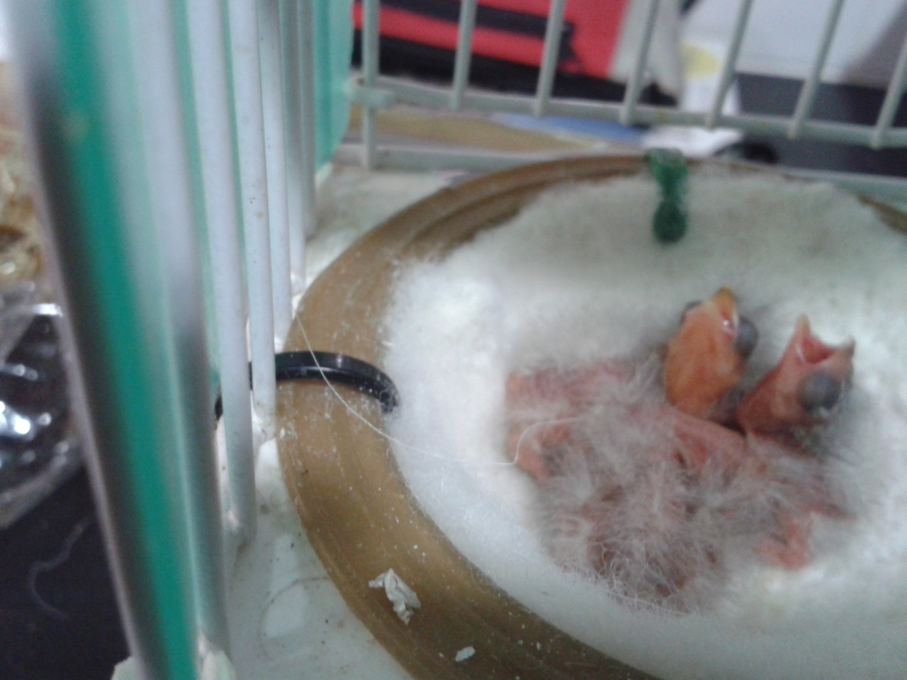 2013-06-28 12.53.39.jpg