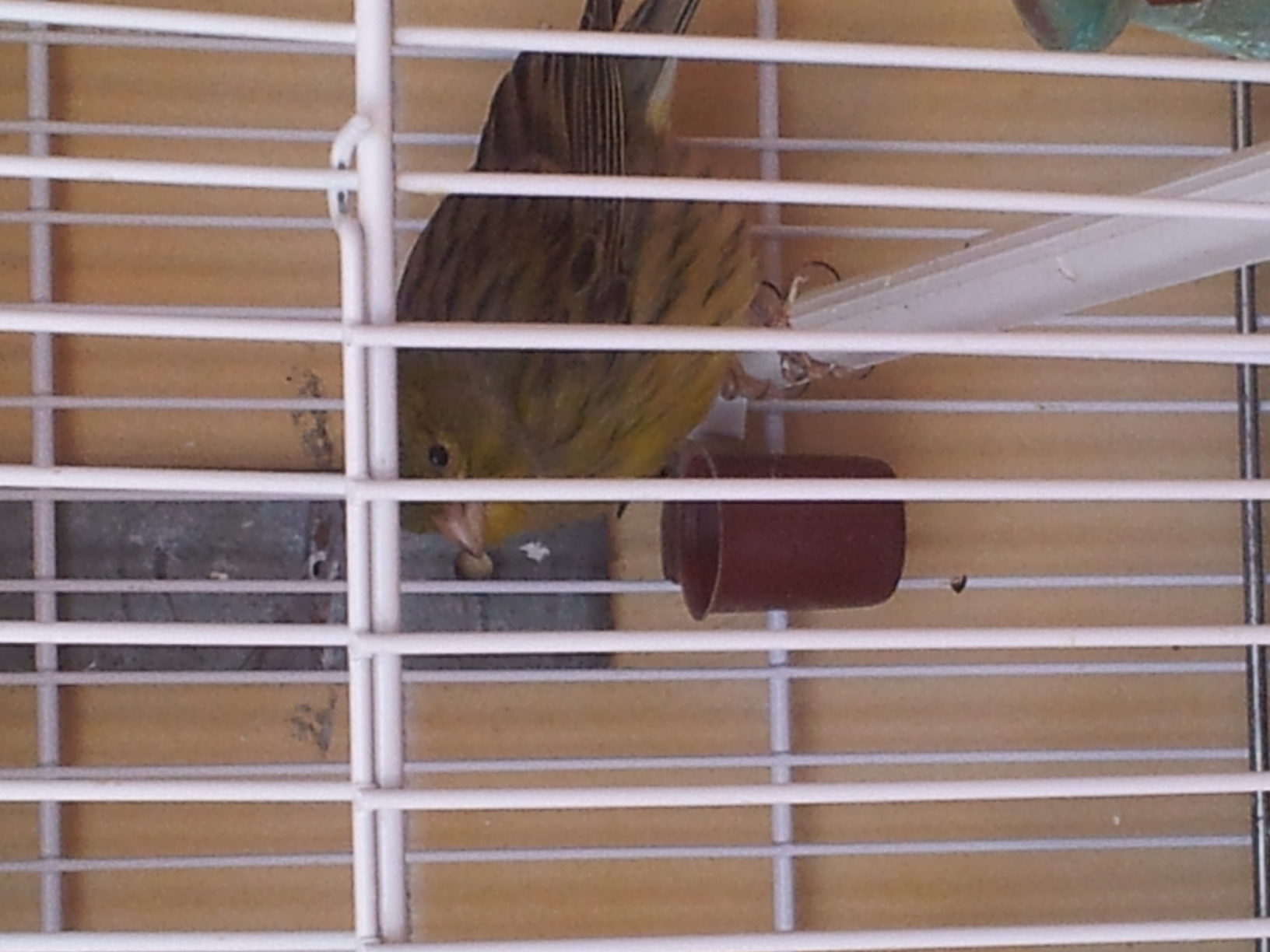 20140316_143431.jpg
