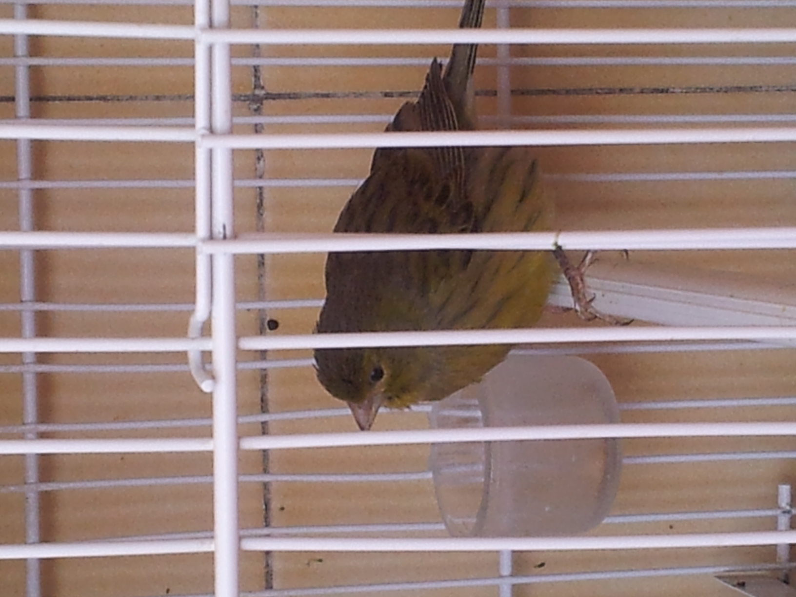 20140316_143424.jpg