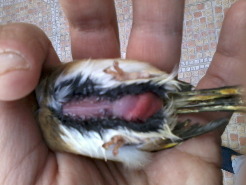 2014-03-20 17.47.07.jpg