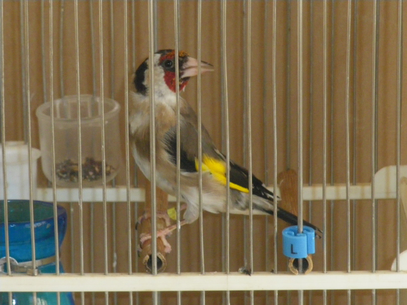 Una pasa de hace 2 años.