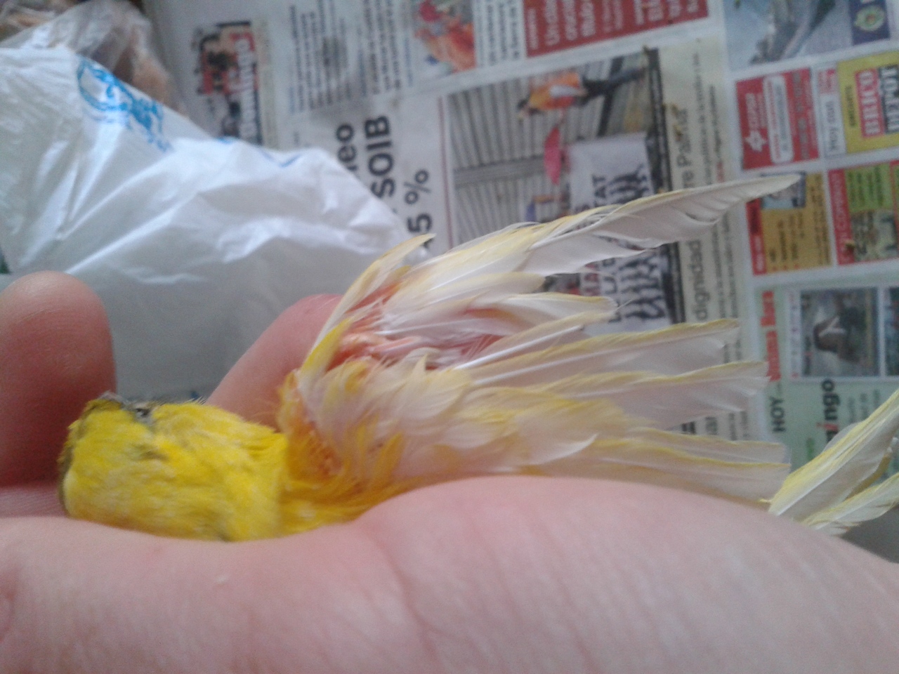 20140324_100035.jpg