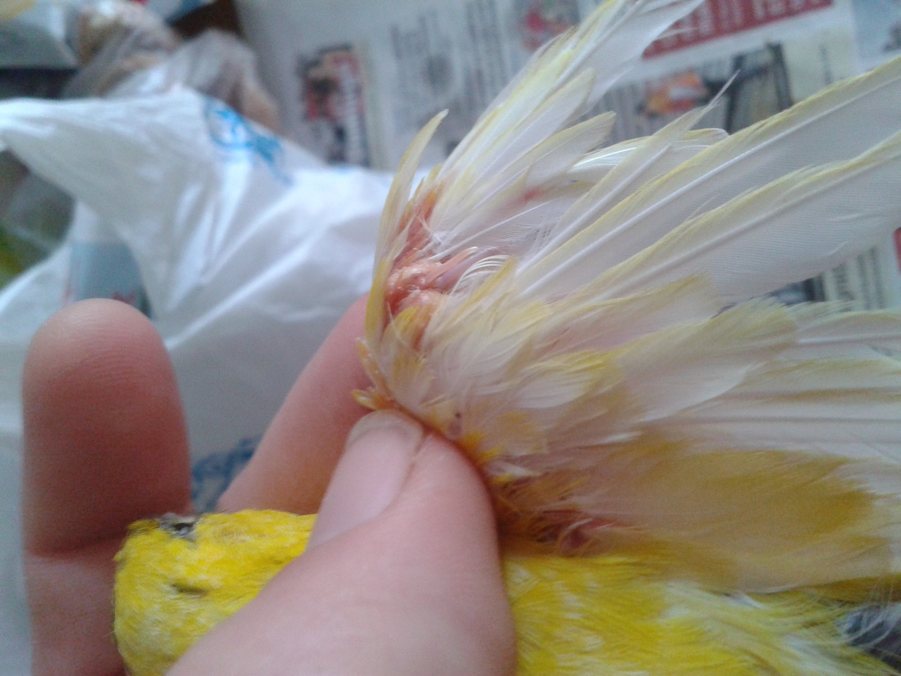 20140324_100058.jpg
