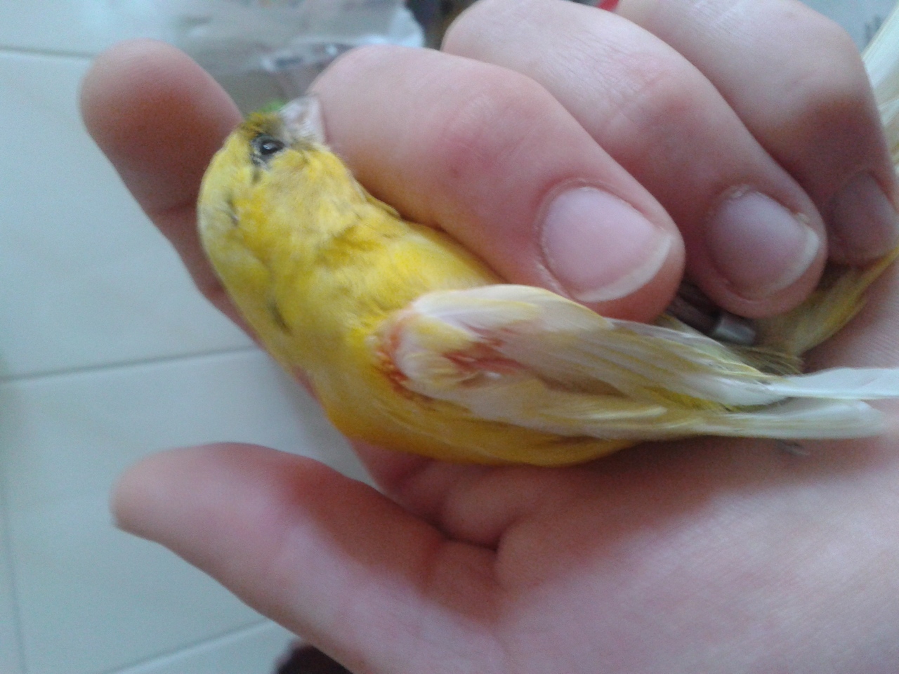 20140324_100221.jpg