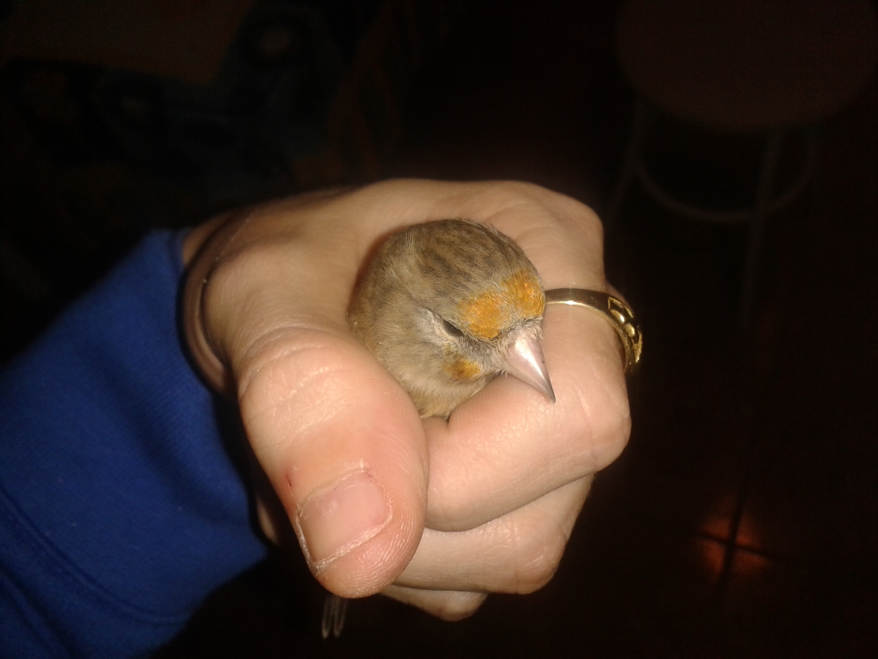 20140322_225148.jpg