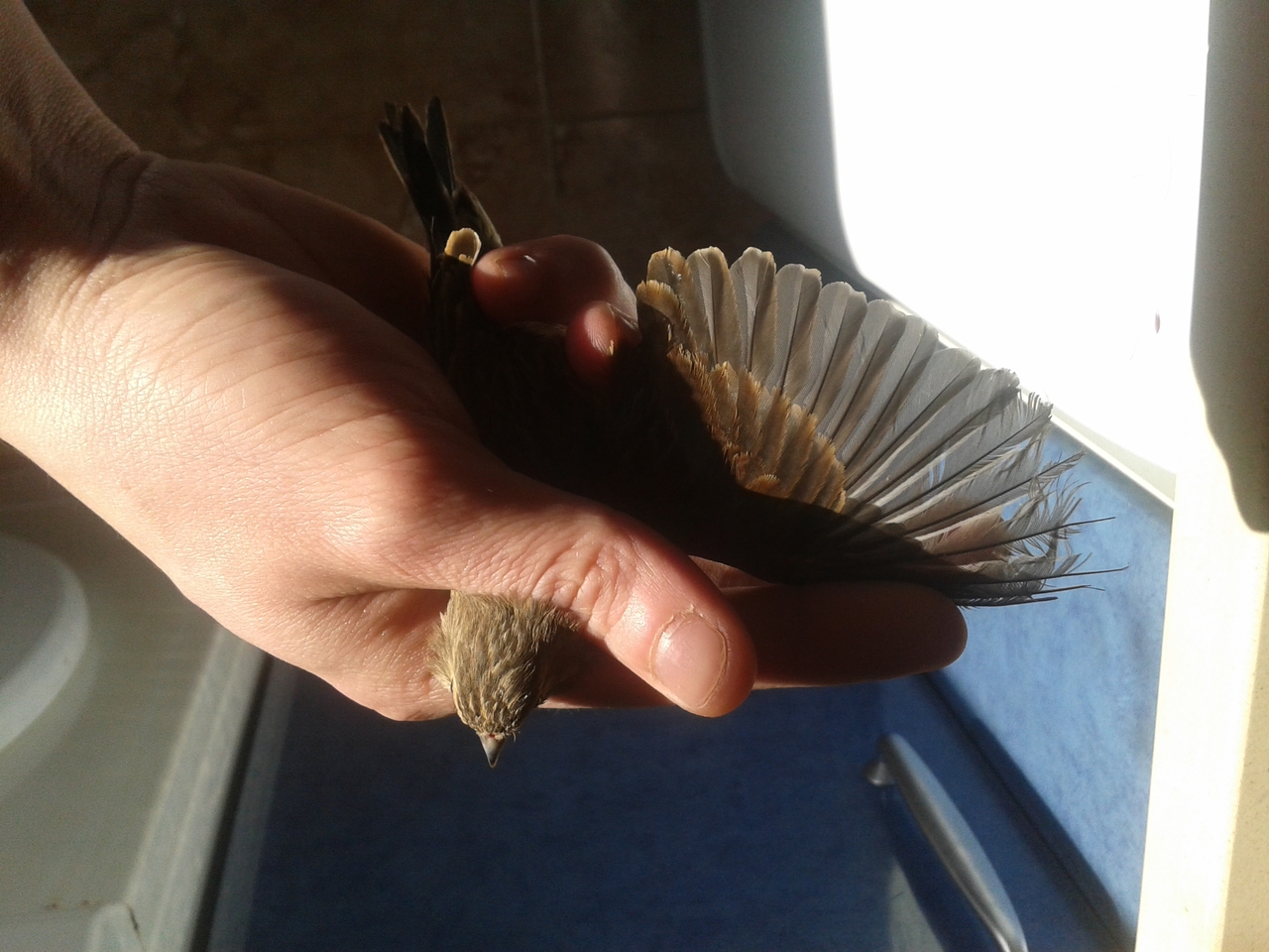 20140325_175956.jpg