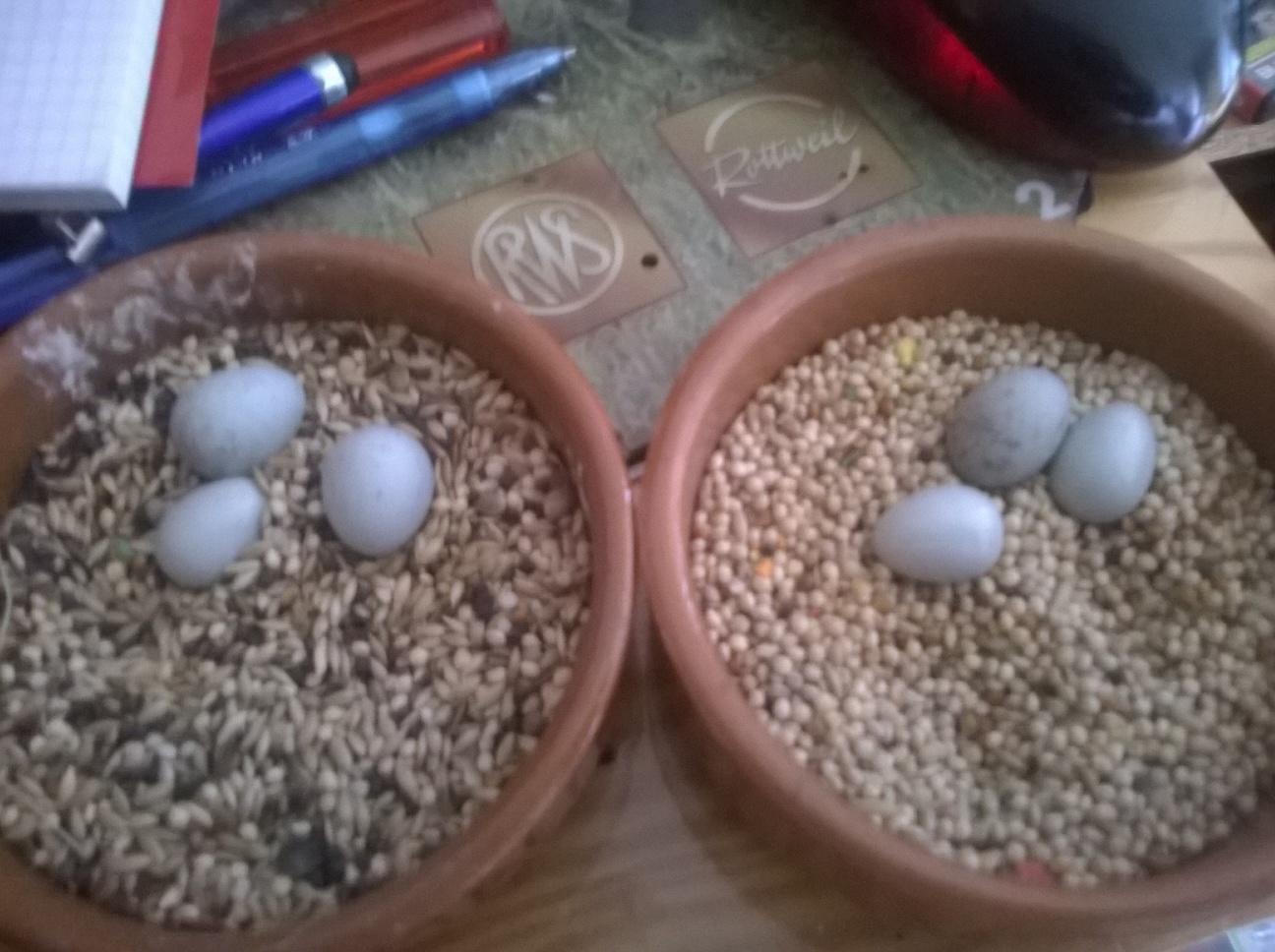 WP_20140326_001.jpg