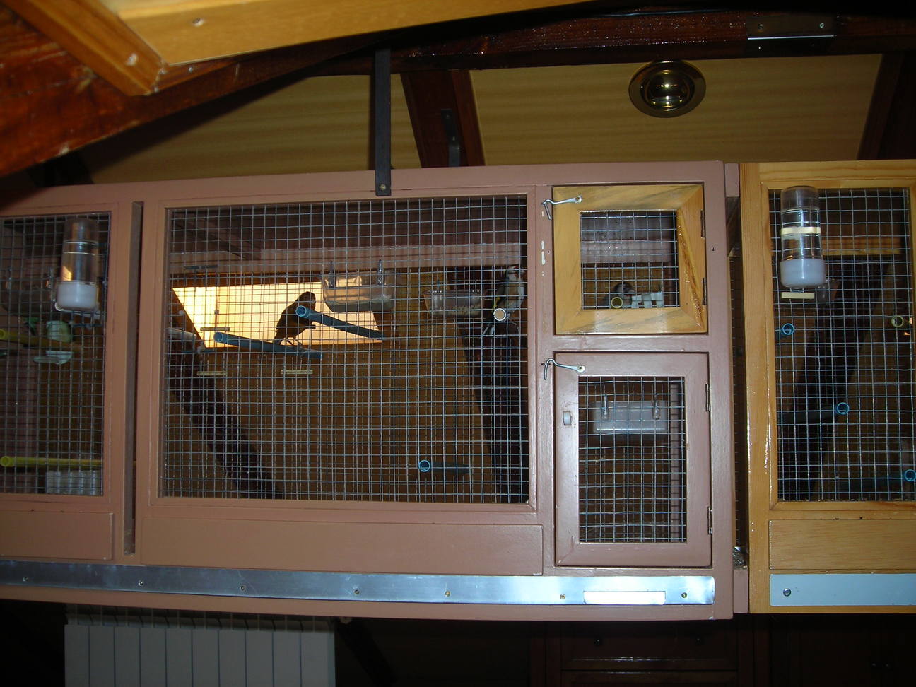 cria 2011 012.jpg