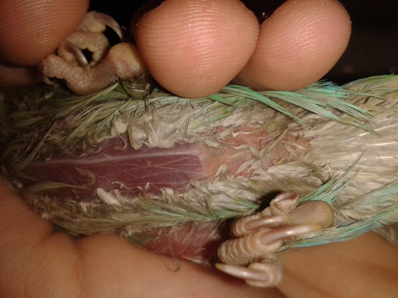 20140331_121645.jpg
