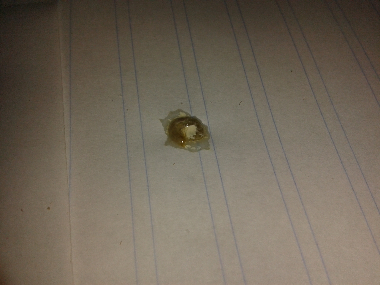 20140331_142944.jpg