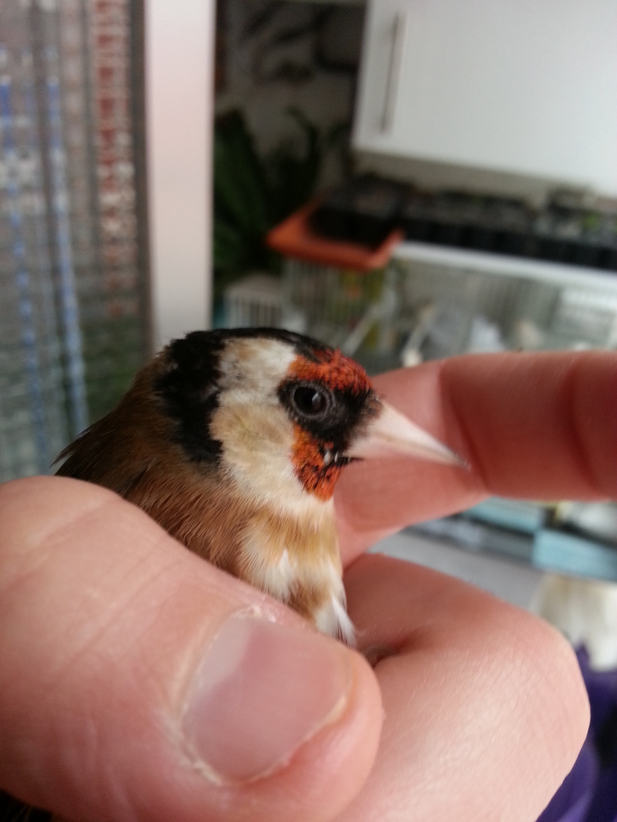 20140331_184359.jpg