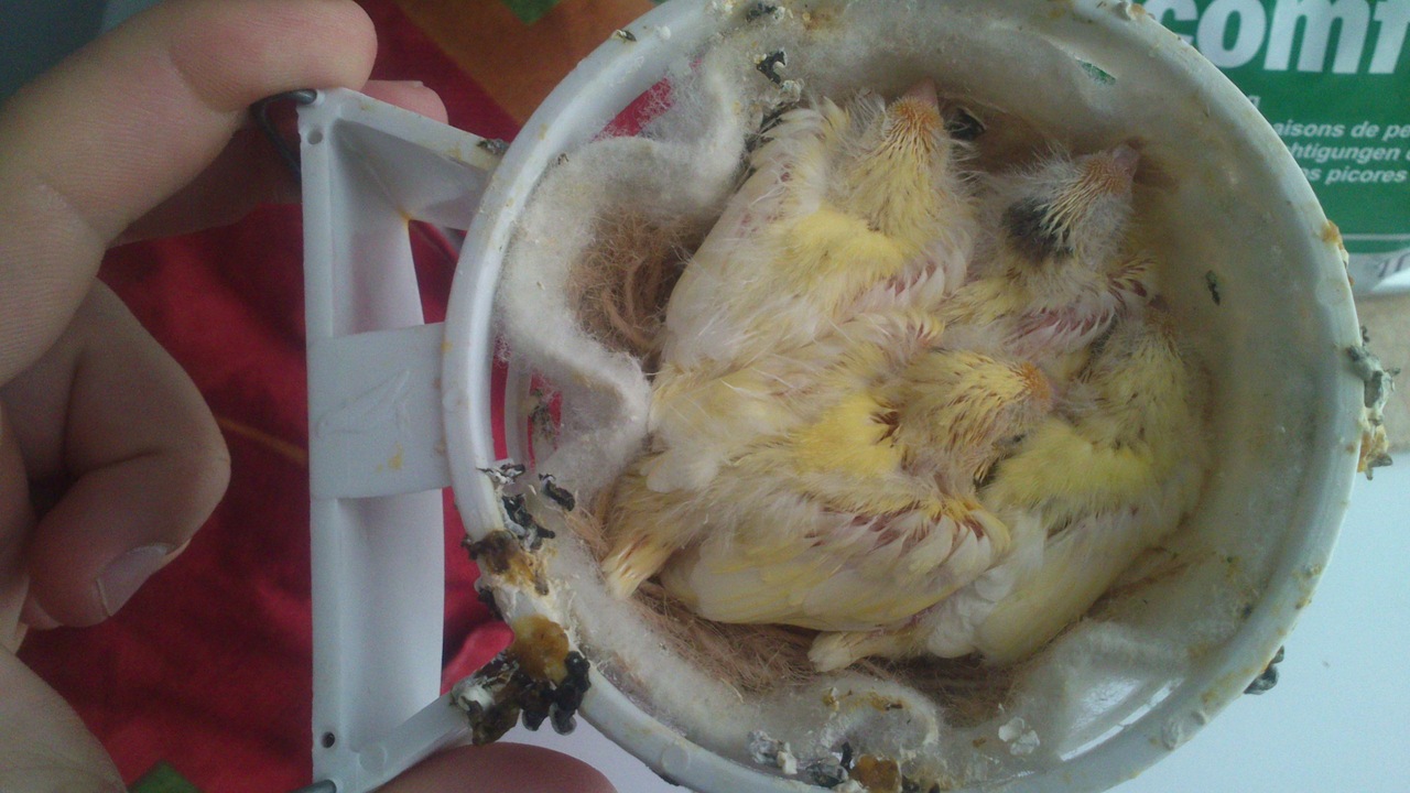 fotos arturo 001.jpg