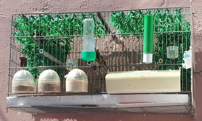 20140409_154939.jpg