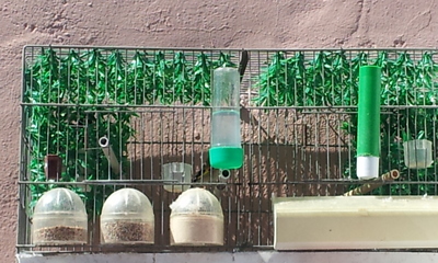 20140409_154903.jpg