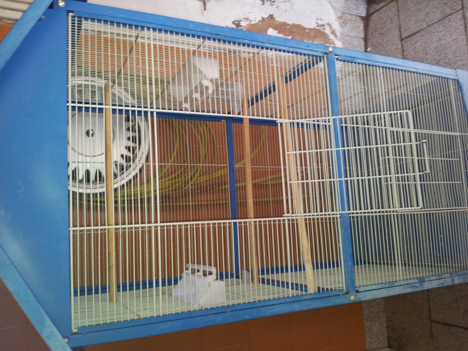 20140415_113911.jpg