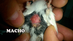 IMG-20140429-WA0000.gif