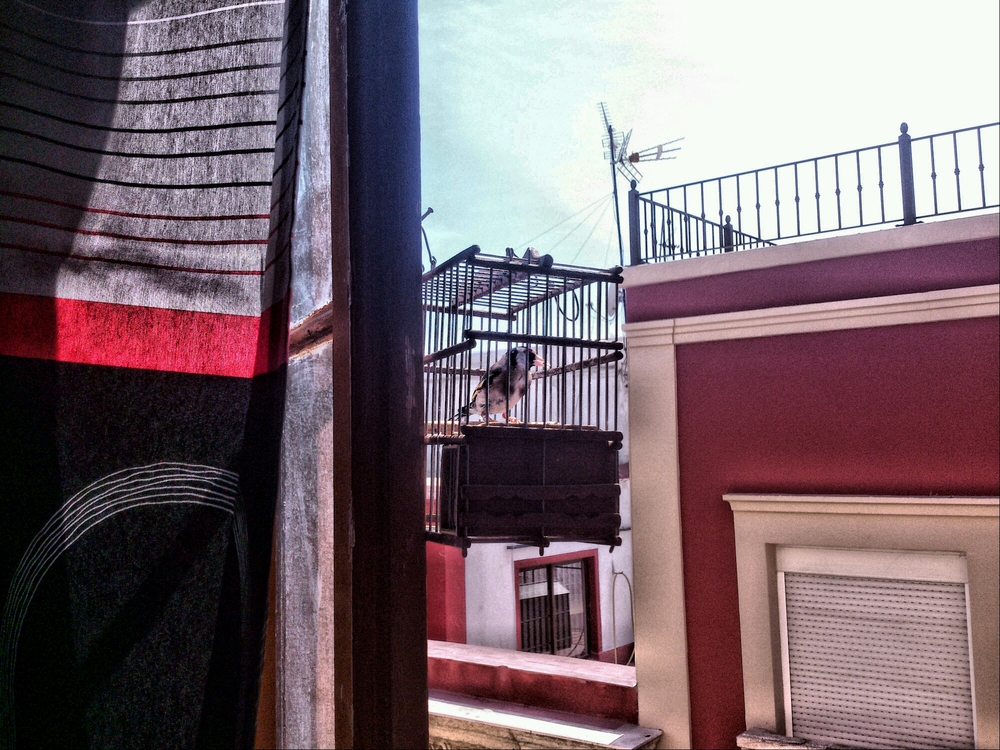 Camera HDR Studio - 1398971433579.jpg