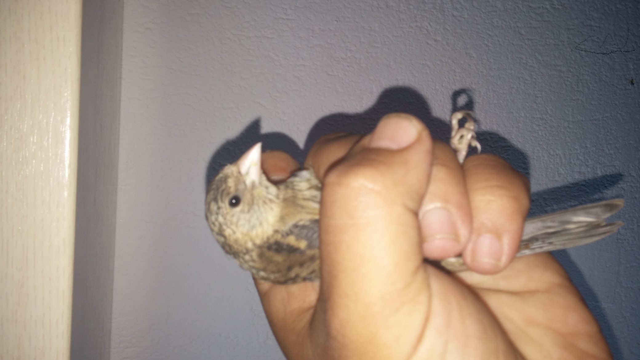 20140504_104338.jpg