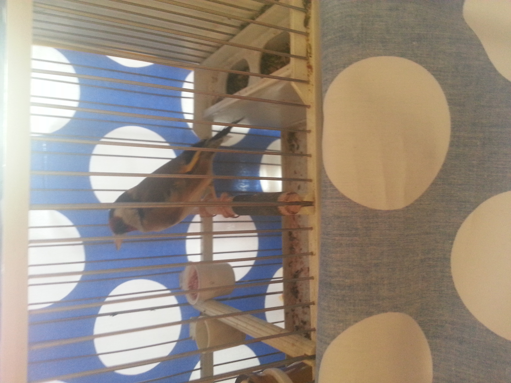 IMG-20140513-WA0026.jpg