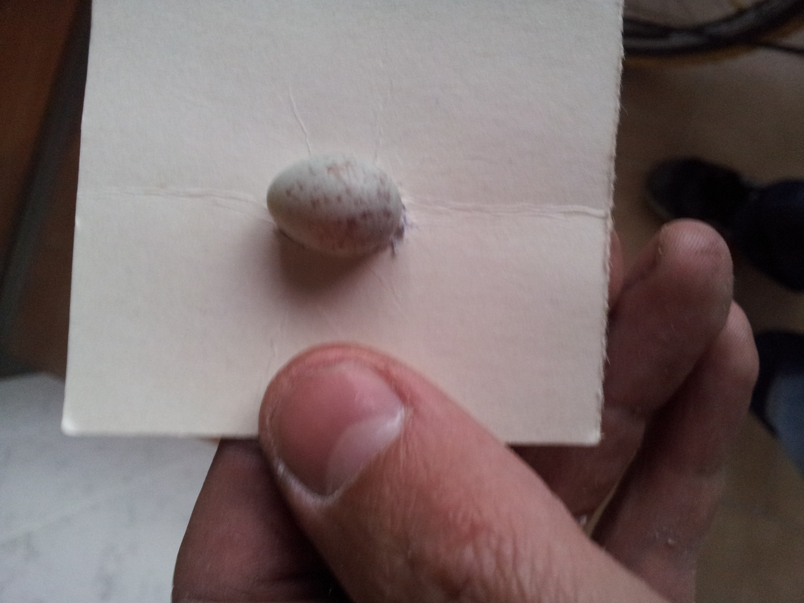 20140520_210821.jpg