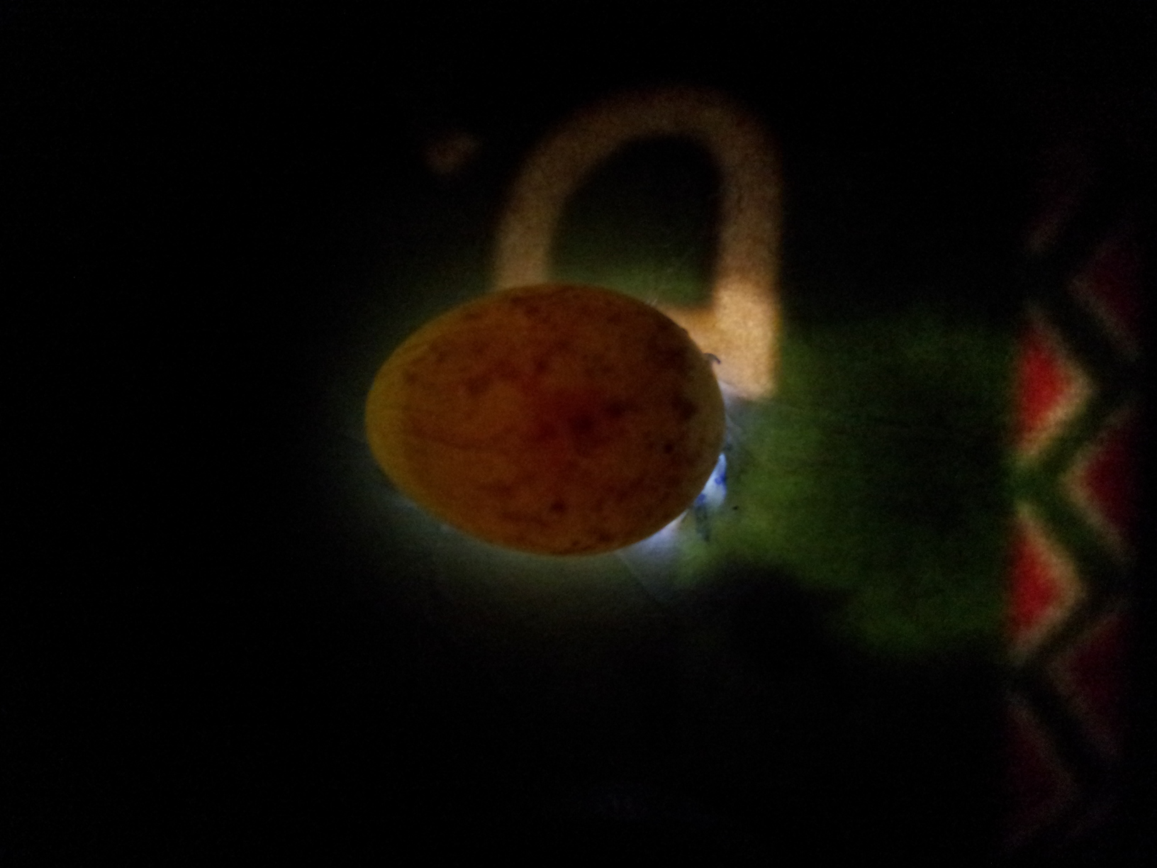 20140520_210955.jpg