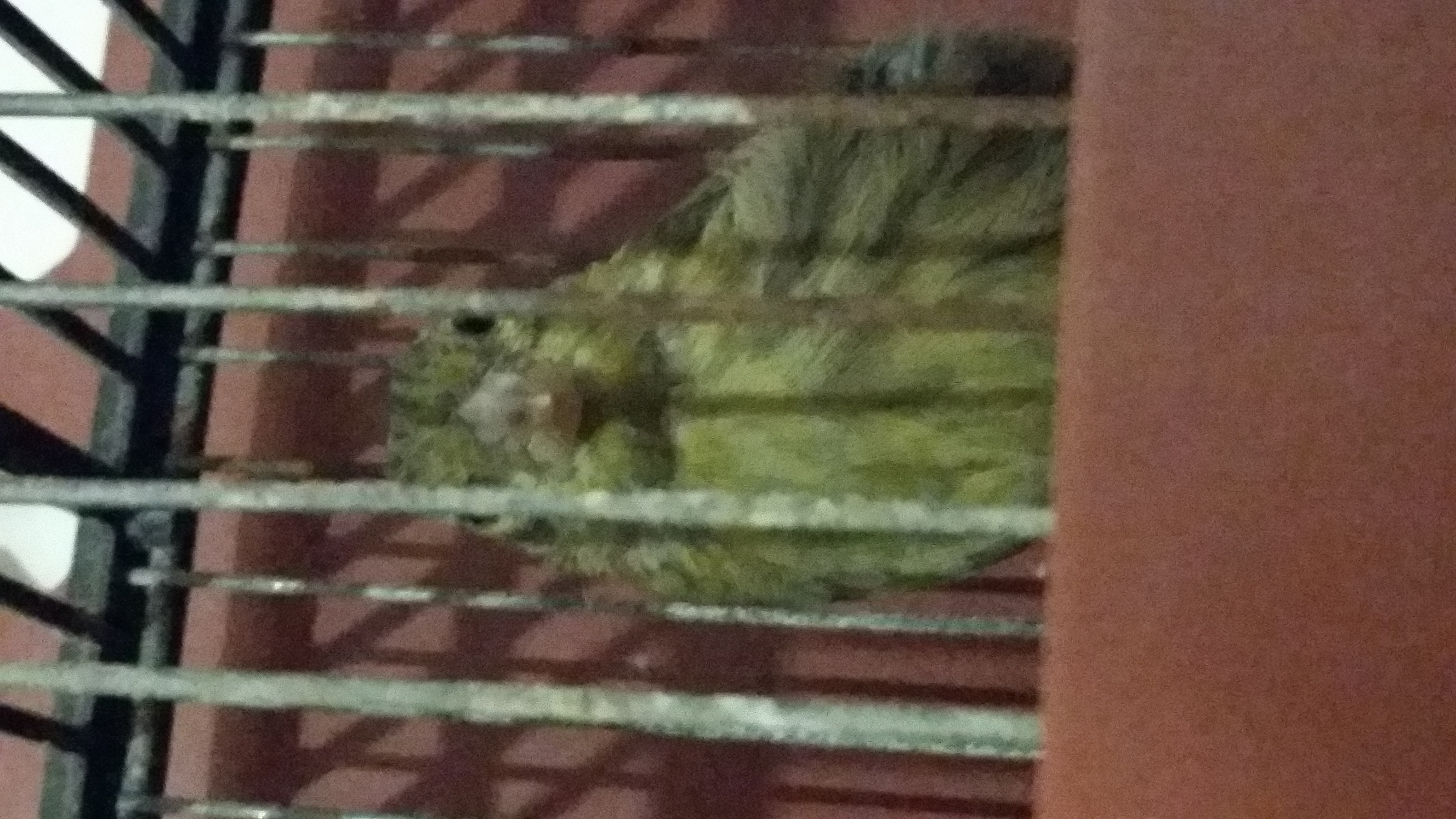 20140523_005919.jpg
