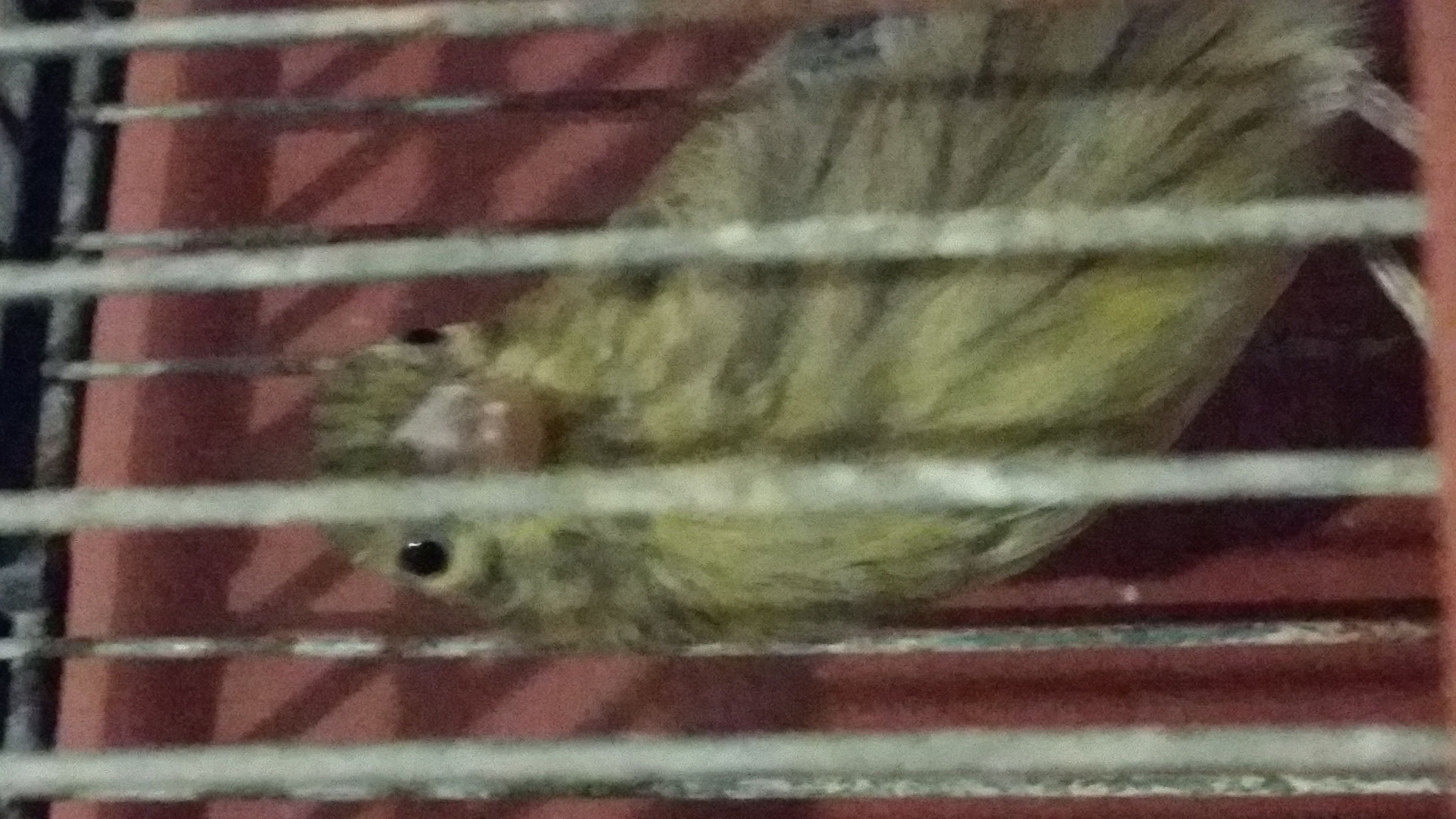 20140523_005940.jpg