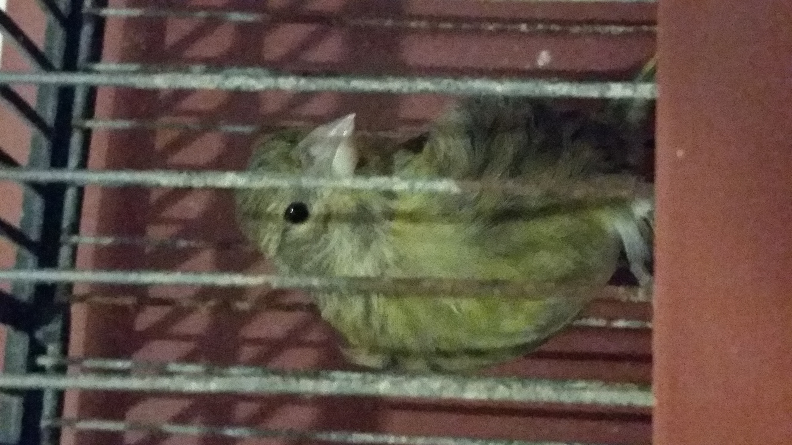 20140523_005915.jpg