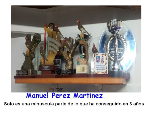 manuel perez martinez.jpg