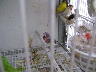 DSC01753.JPG