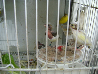 DSC01751.JPG