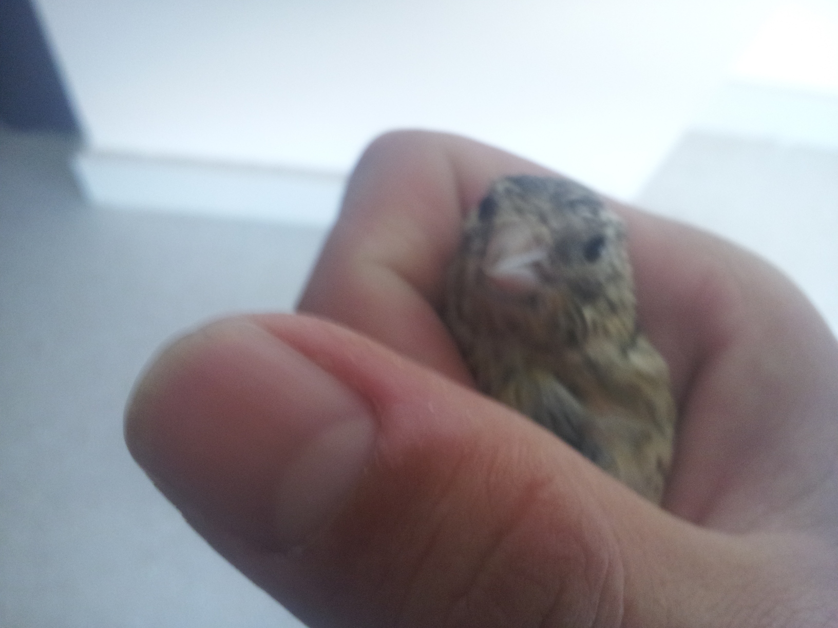 20140531_085127.jpg