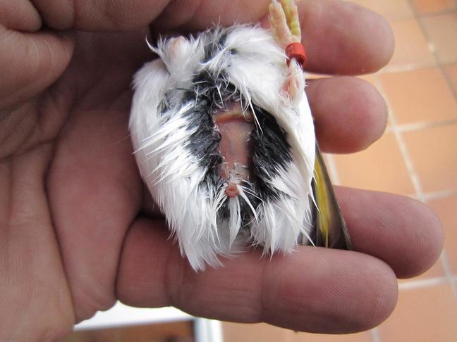 E:\Documents and Settings\Administrador.ILLUSION_V2\Mis documentos\Mis imágenes\b.JPG