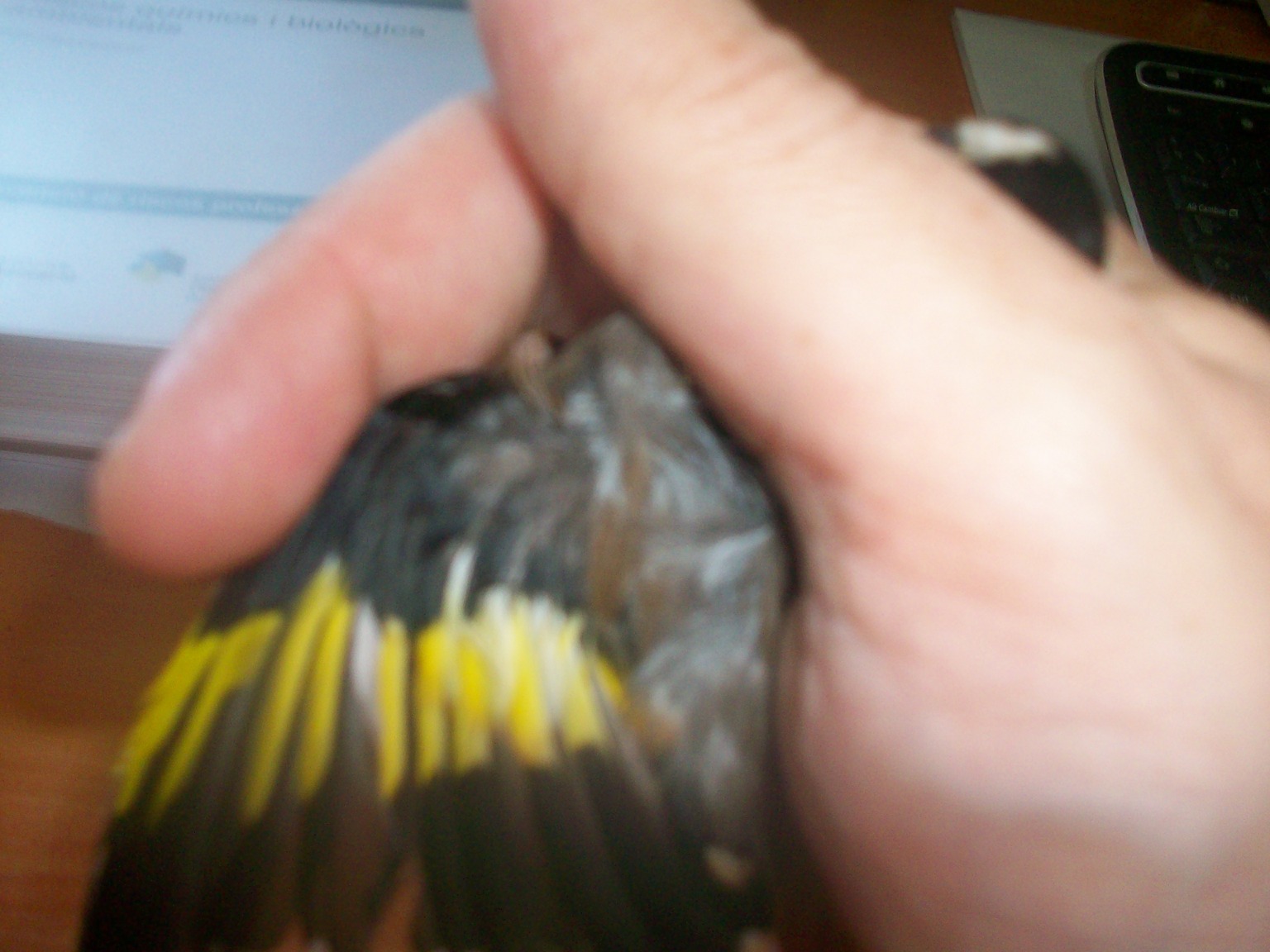 100_2174.JPG