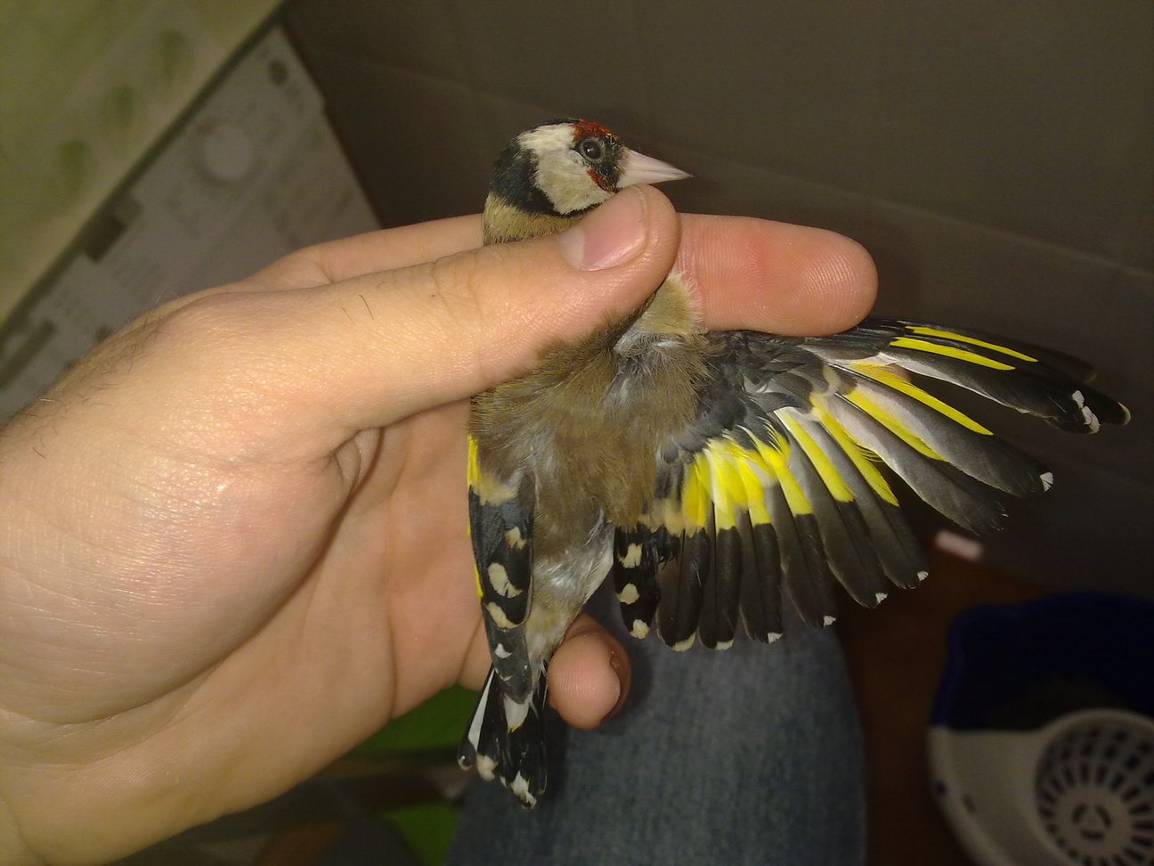 27042011374.jpg