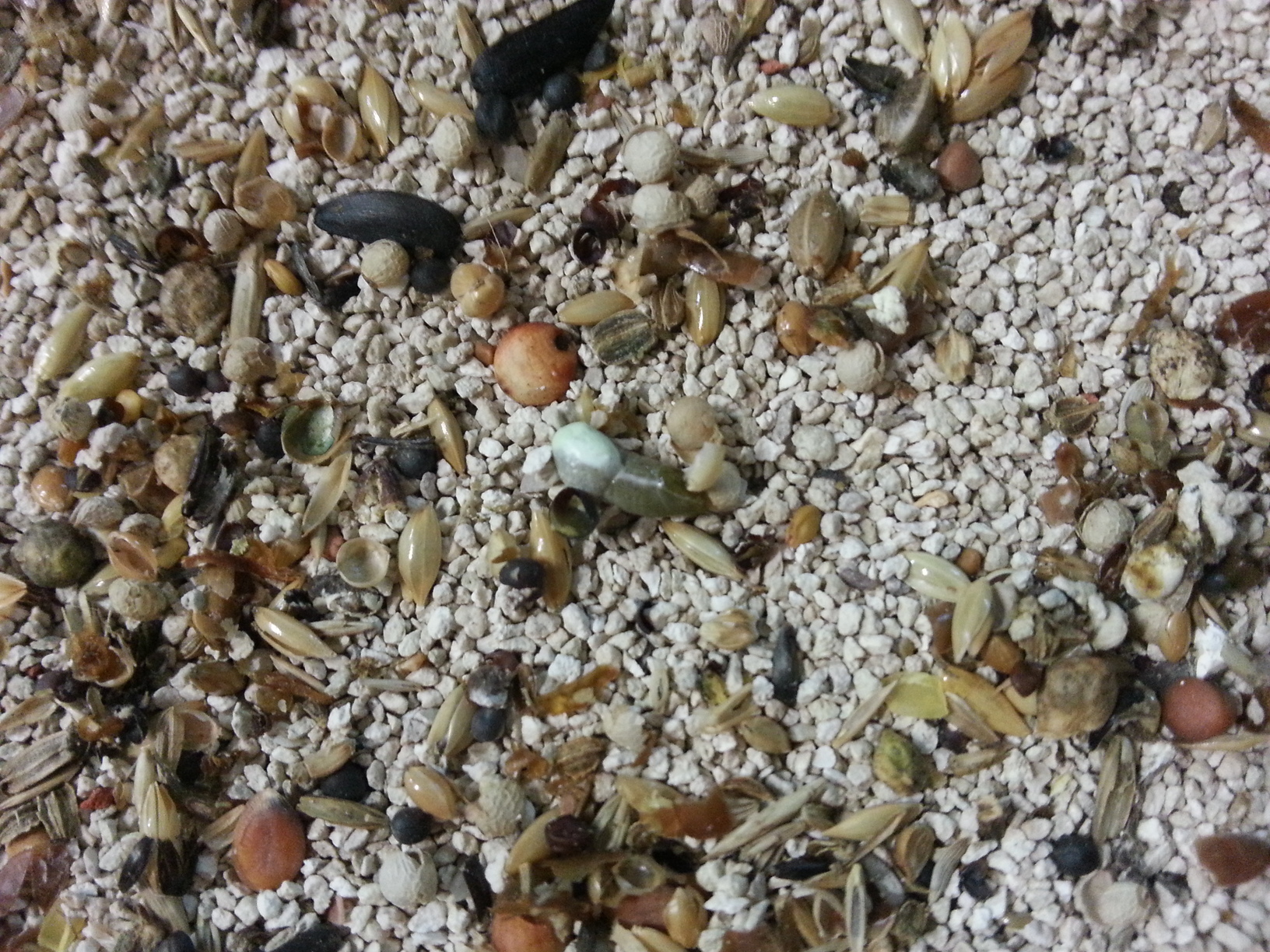 20140618_235742.jpg