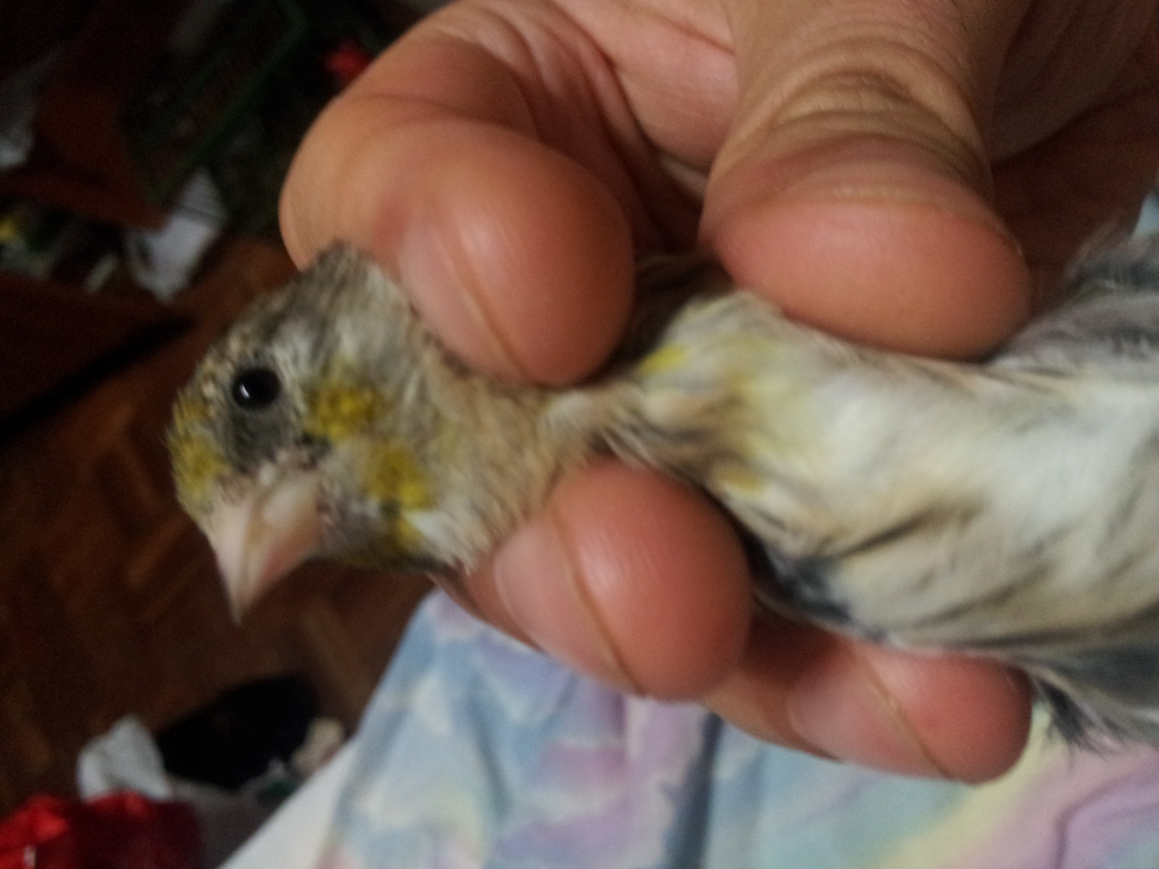 20140621_002612.jpg