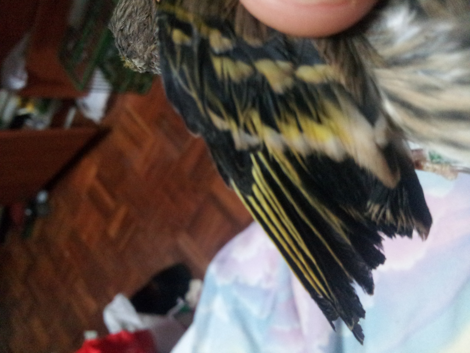 20140621_002714.jpg