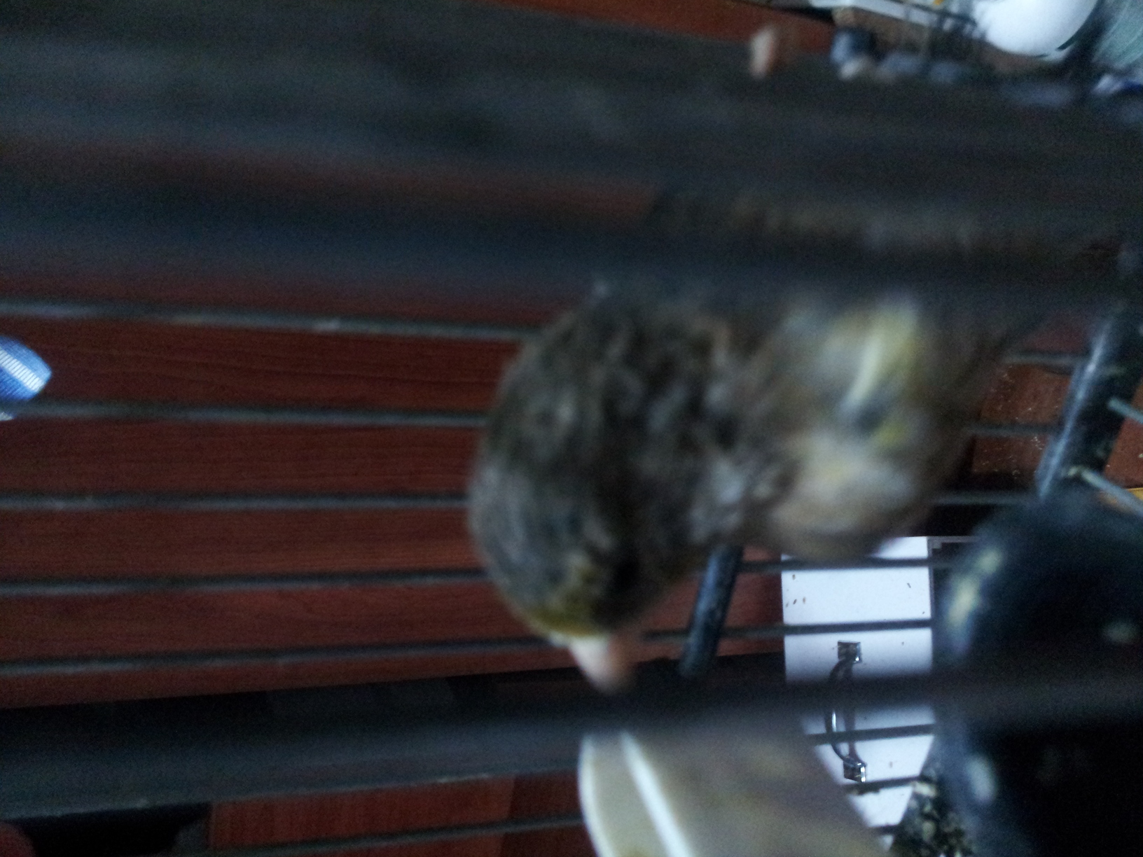 20140621_002847.jpg