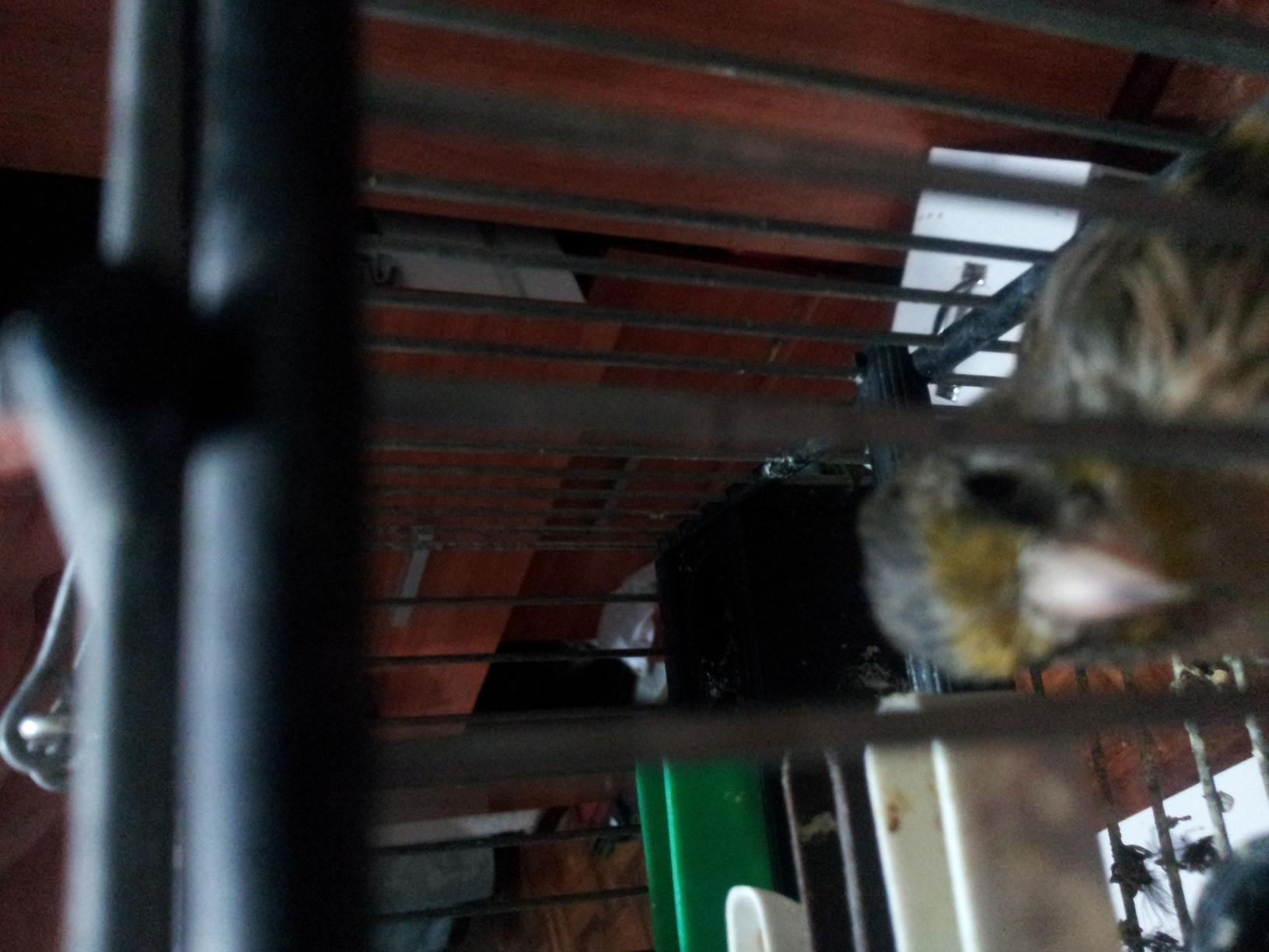 20140621_002821.jpg