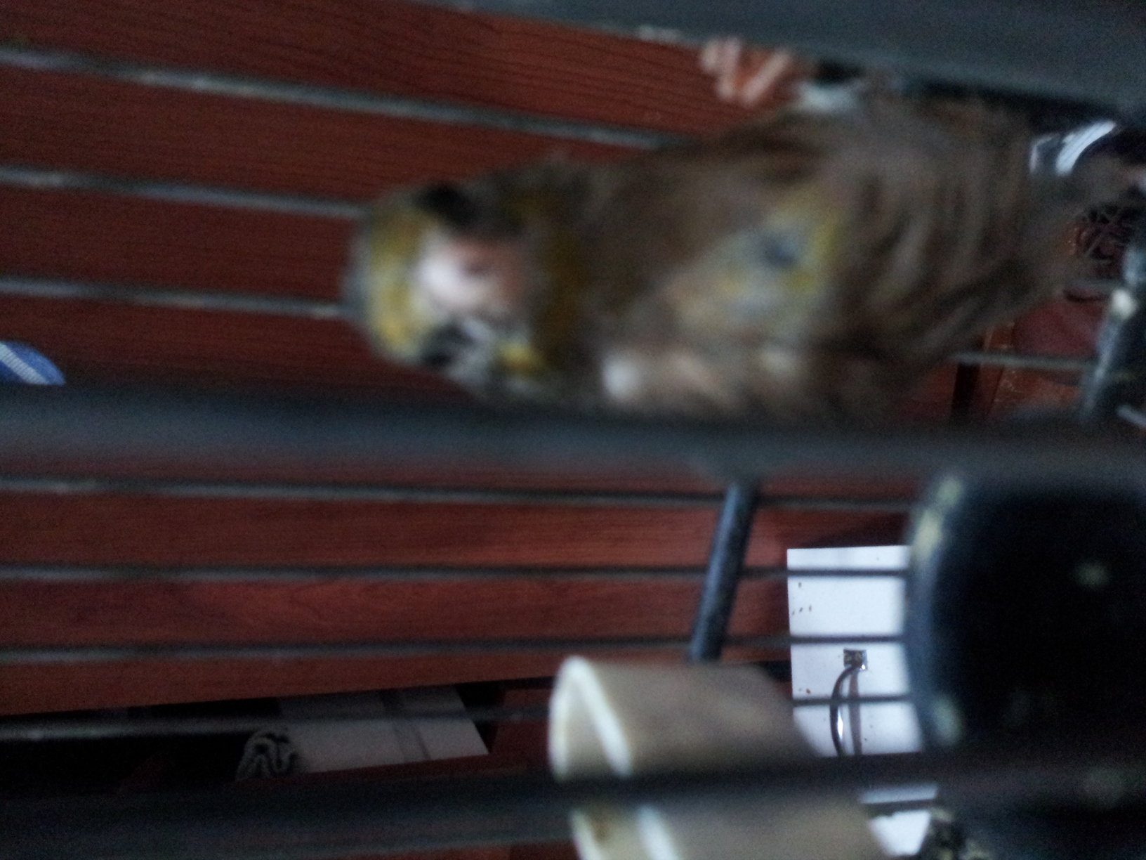 20140621_002855.jpg