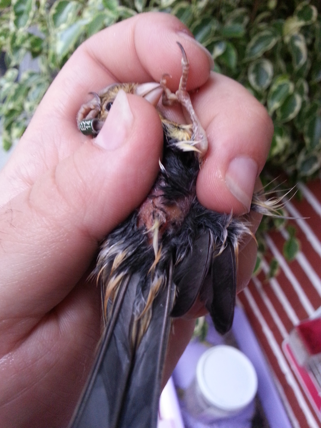 20140624_210552.jpg