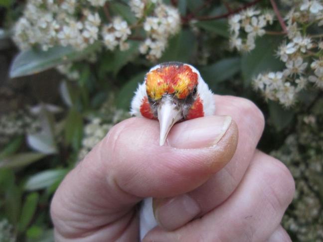 E:\Documents and Settings\Administrador.ILLUSION_V2\Escritorio\IMG_1247.JPG