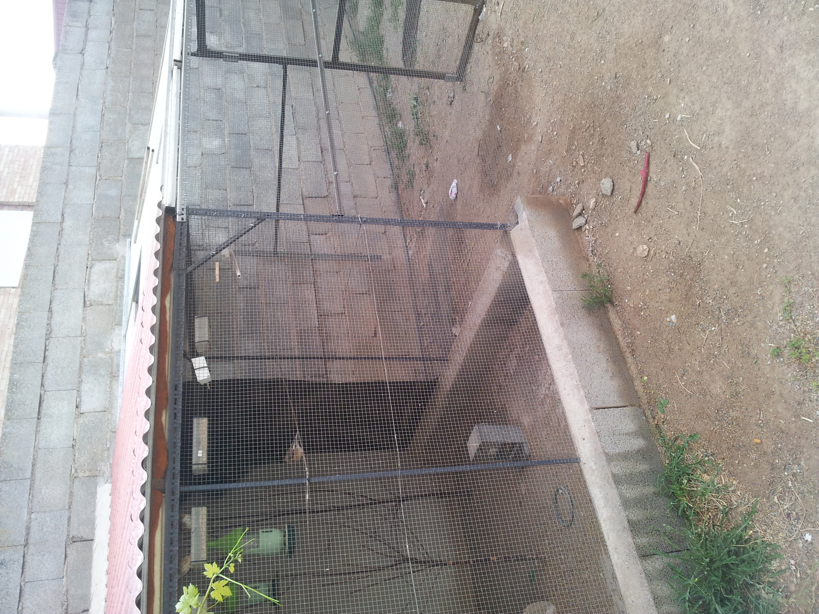 20140624_203714.jpg