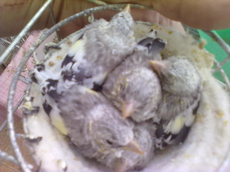 29042011417.jpg