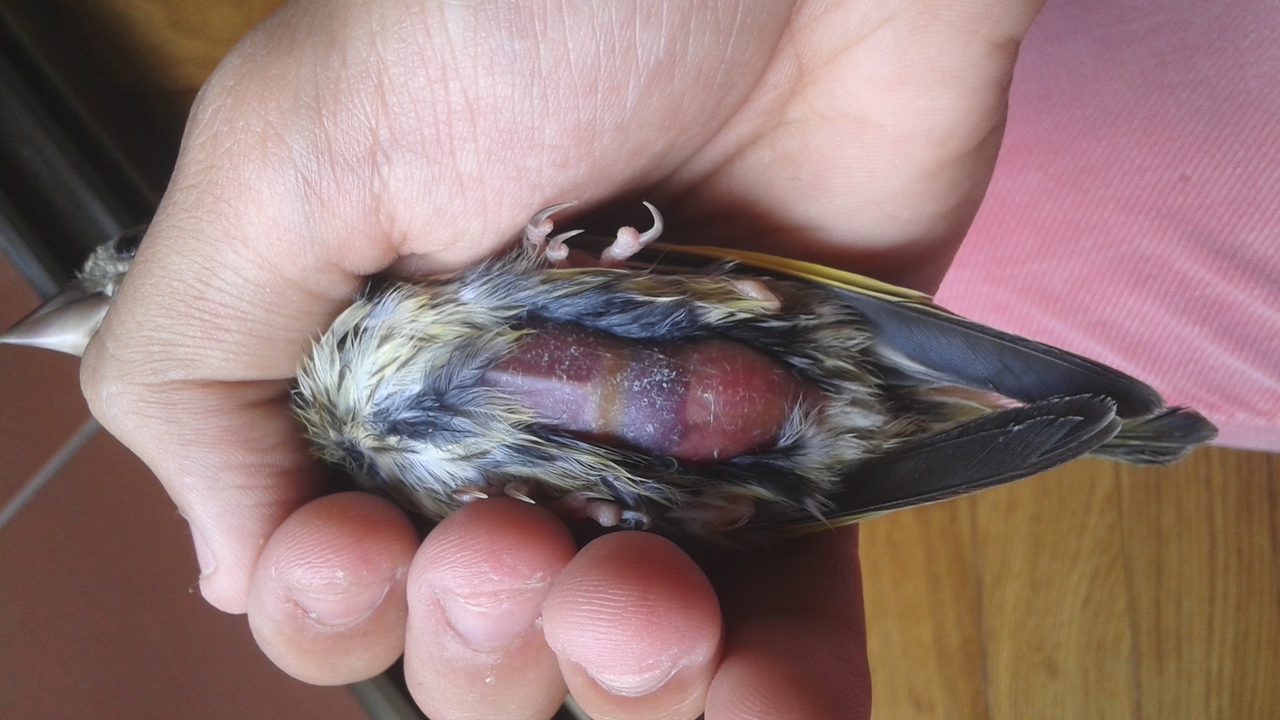 20140627_162854.jpg