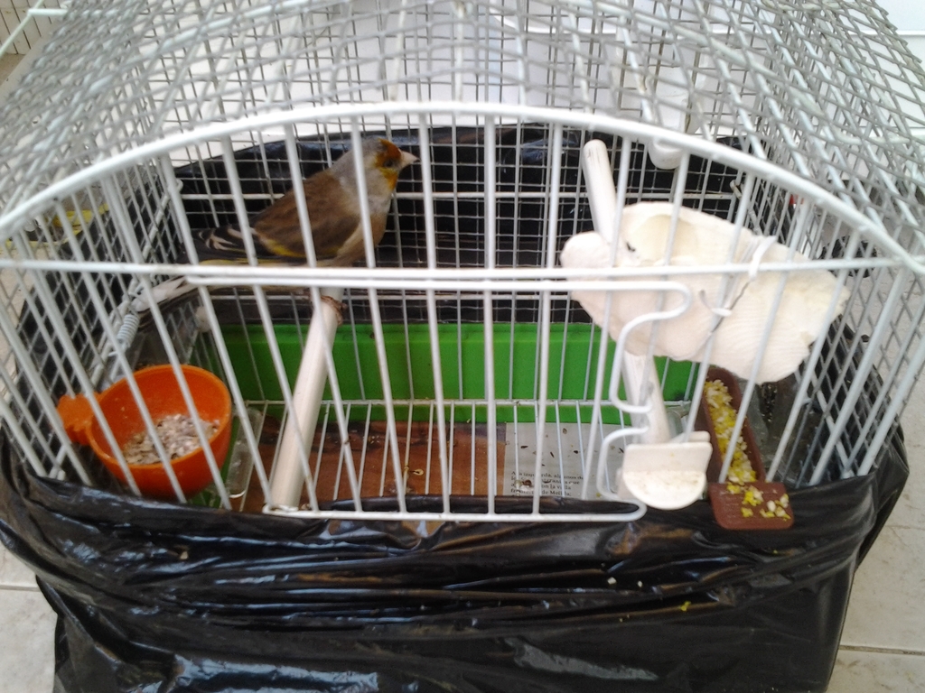 20140629_151816.jpg