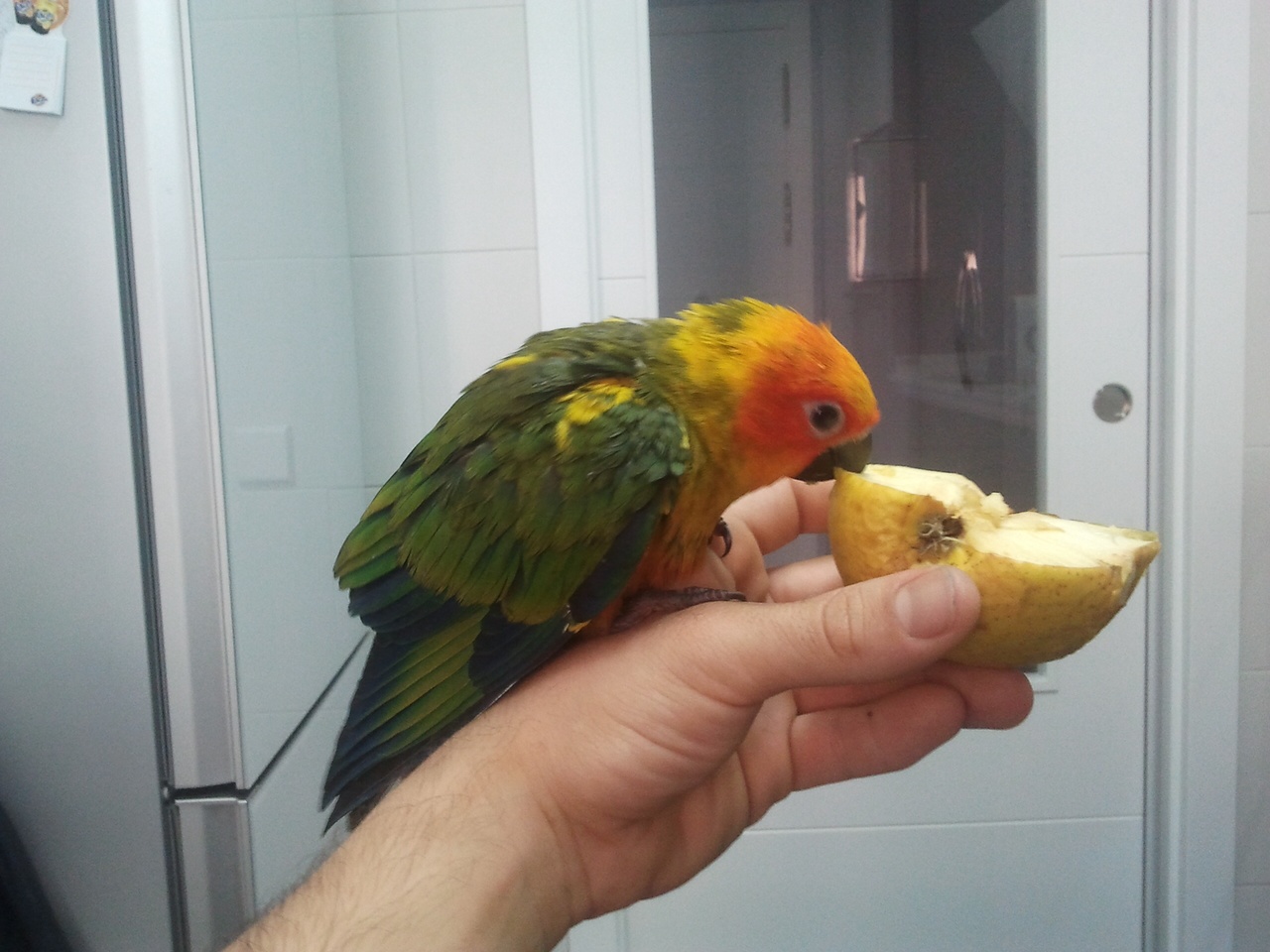 Comiendo manzana