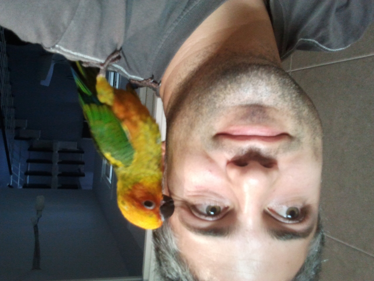 image.jpg
